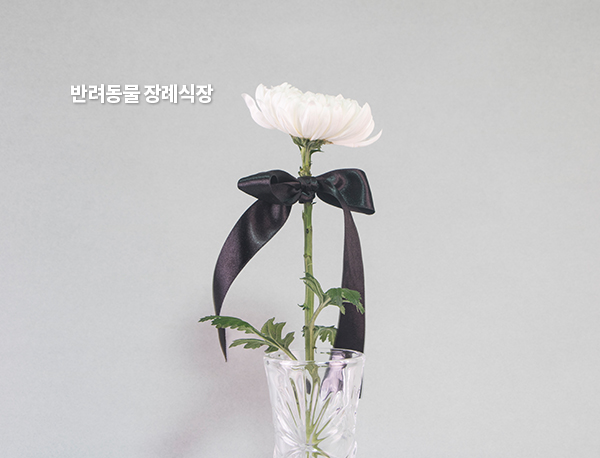 창원홈페이지제작 창원웹 - 반려동물 장례식장